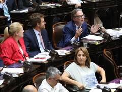 La picante chicana de Pichetto a LLA por la votación en el Congreso: "Les encanta..."