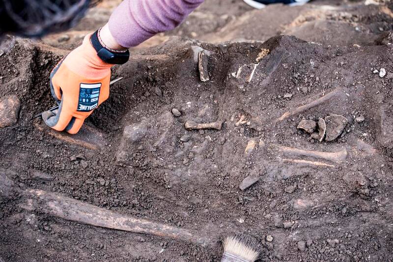 El descubrimiento del "dragón chino" de 240 millones de años de antigüedad es un hito en la paleontología. (Foto: archivo)