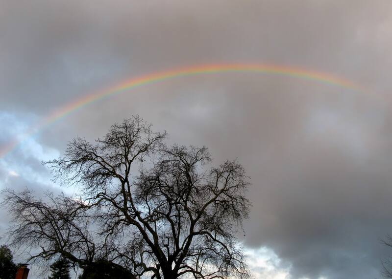 ¿Cómo está el clima en México hoy?