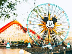 Qué hacer en Disney: las actividades imperdibles para disfrutar en familia