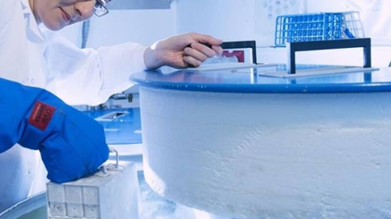 <div class="migrated-promo-image__description"><div class="migrated-promo-image__source">Fuente: Boehringer Ingelheim</div><div class="migrated-promo-image__author">El Cronista</div></div>