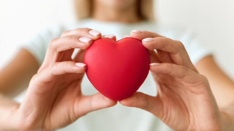 Incorporar el azafrán y el laurel en la dieta diaria puede ser una estrategia sabrosa y efectiva para mantener el colesterol bajo control.