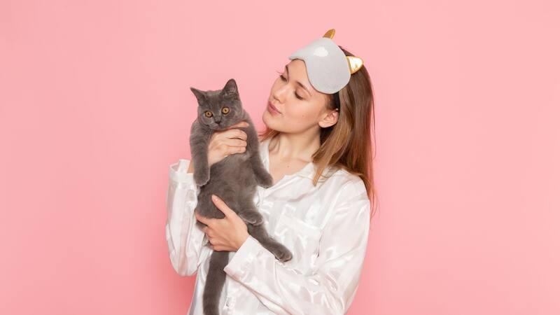 La educación de los propietarios de gatos sobre su impacto ambiental es crucial para fomentar prácticas responsables de cuidado de mascotas.