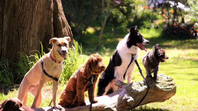 <div class="migrated-promo-image__description"><div class="migrated-promo-image__source">Fuente: Unsplash</div></div>