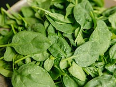 La planta medicinal que estimula la producción de colágeno y evita el dolor de rodilla y cadera