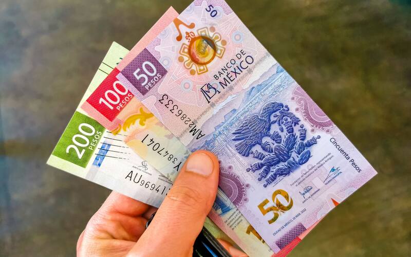 El Gobierno ofrece dinero a los estudiantes a través de la Beca Benito Juárez. Fuente: Shutterstock