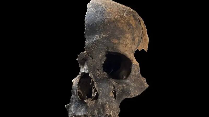 Los restos de Charterhouse Warren confirman la práctica de canibalismo en la Edad de Bronce en Inglaterra.