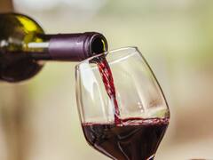 El Malbec argentino tiene características "únicas": descubren cómo identificar sus ‘huellas dactilares'