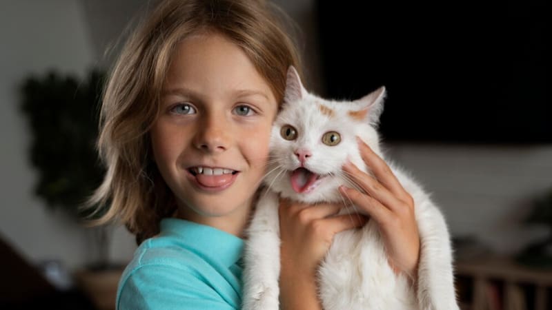 Los gatos se esterilizan de diferentes maneras según su género.