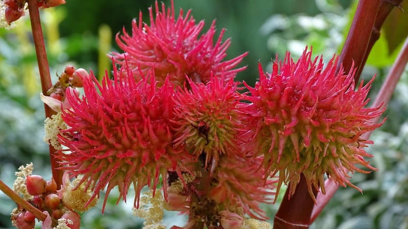 <div class="migrated-promo-image__description"><div class="migrated-promo-image__source">Fuente: Pixabay</div></div>