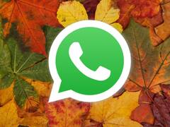 Llegó el "modo otoño" a WhatsApp: qué es y cómo se activa