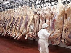 Frigoríficos en alerta por caída del consumo de carne y pérdida de competitividad para exportar