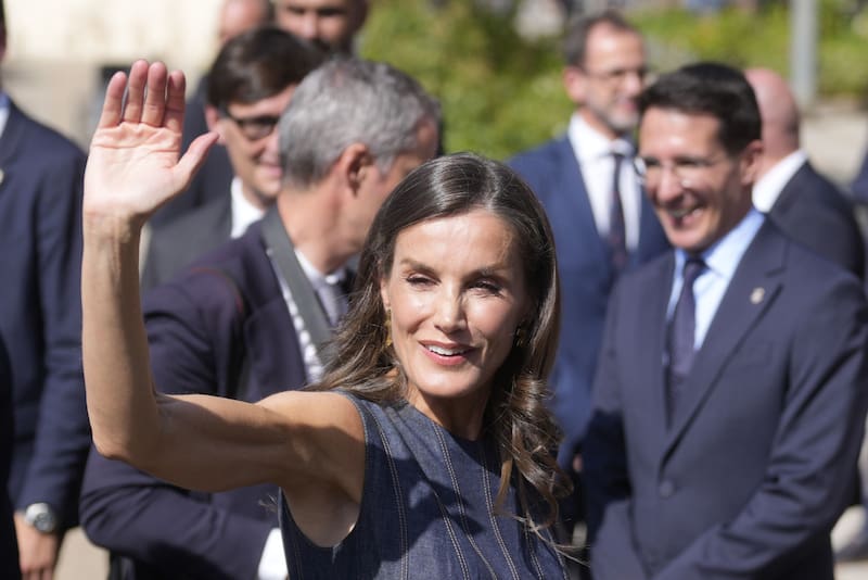 Un reconocido psicólogo aseguró que Letizia expresó su preocupación por la falta de inversión en salud mental en el país. (Fuente: Archivo)