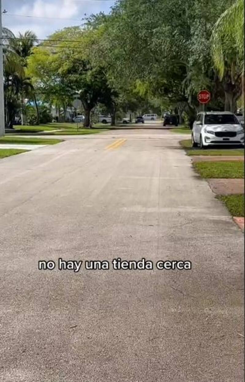 El video viral de "@robinsonpinargote31". (Foto: captura).