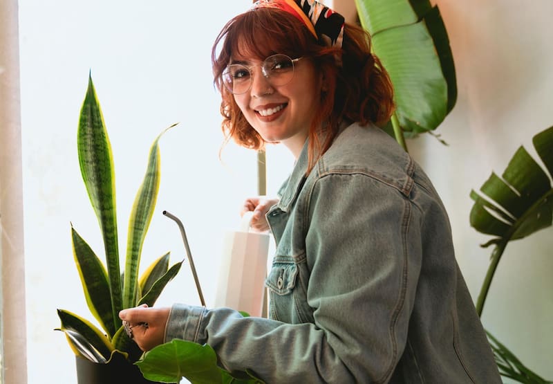El refresco cola también sirve para regenerar la tierra de tu lengua de suegra. Foto: Pexels.