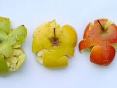 Adiós Apple: llegó el "aparatito" que todos quieren y cuesta solo 29 euros