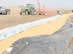 Silobolsas: Desde CRA piden que el proyecto de Massa contra delitos rurales se aprueba rápido