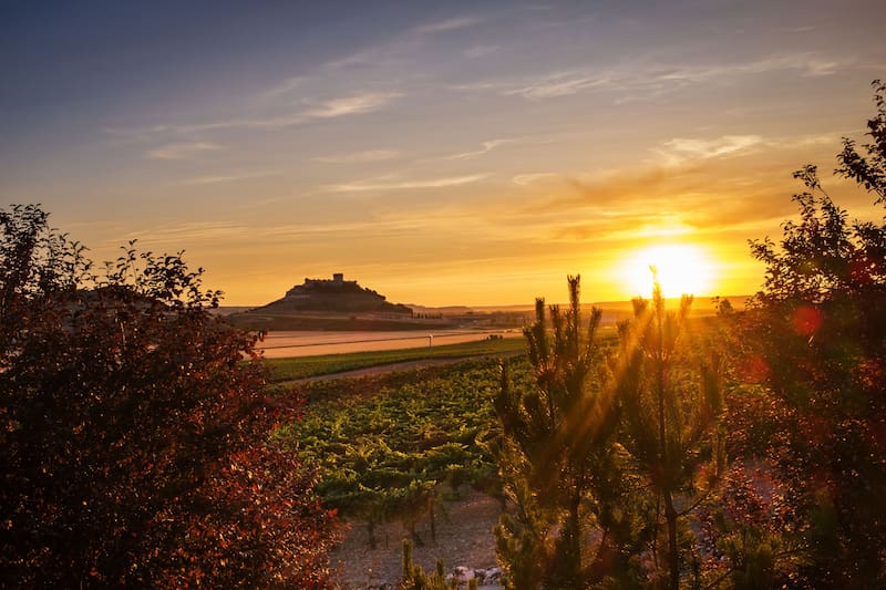 Uno de los viñedos de España, ubicado en Ribera del Duero. (Fuente: Shutterstock)