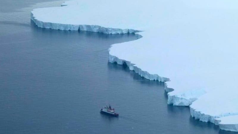 Una expedición en la Antártida descubrió las nuevas criaturas.