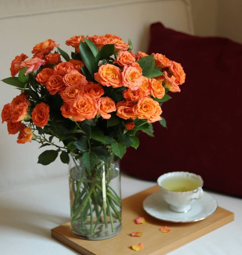 Dar flores color naranja. Fuente: Pixabay.