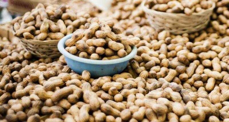 Compró una empresa que desarrolla un medicamento contra la alergia al maní. No salió como esperaba.