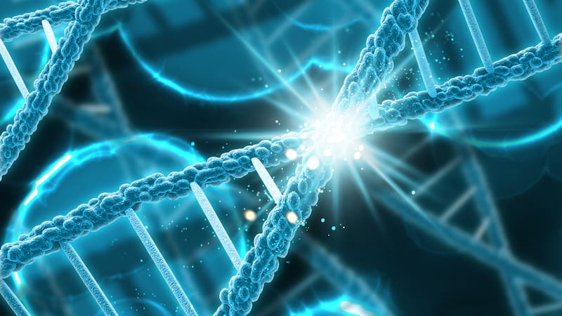 Cambios en el esperma tras la infección por coronavirus podrían afectar el comportamiento y desarrollo cerebral de la descendencia. Fuente: Shutterstock,