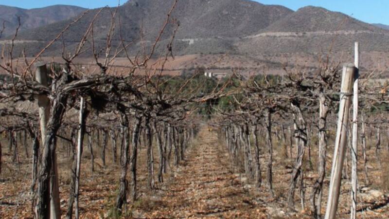 <div class="migrated-promo-image__description"><div class="migrated-promo-image__source">Fuente: bloomberg</div></div>