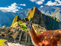 El fin de Machu Picchu: por culpa de los humanos, dejará de ser una Maravilla del Mundo y nunca volverá a ser como antes
