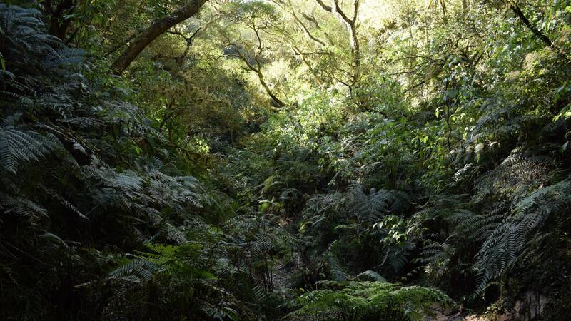 Si visitás Jujuy y te gusta la naturaleza, tenés que conocer este increíble lugar.