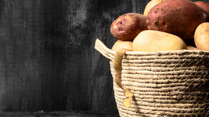 No es batata: el tubérculo que cuida la memoria, ayuda a bajar de peso y protege el corazón.