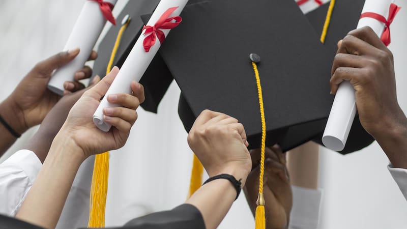 <div class="migrated-promo-image__description"><div class="migrated-promo-image__source">Fuente: Freepik</div></div>