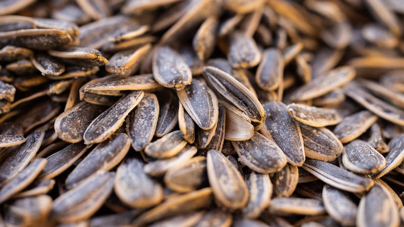 <div class="migrated-promo-image__description"><div class="migrated-promo-image__source">Fuente: Pexels</div></div>