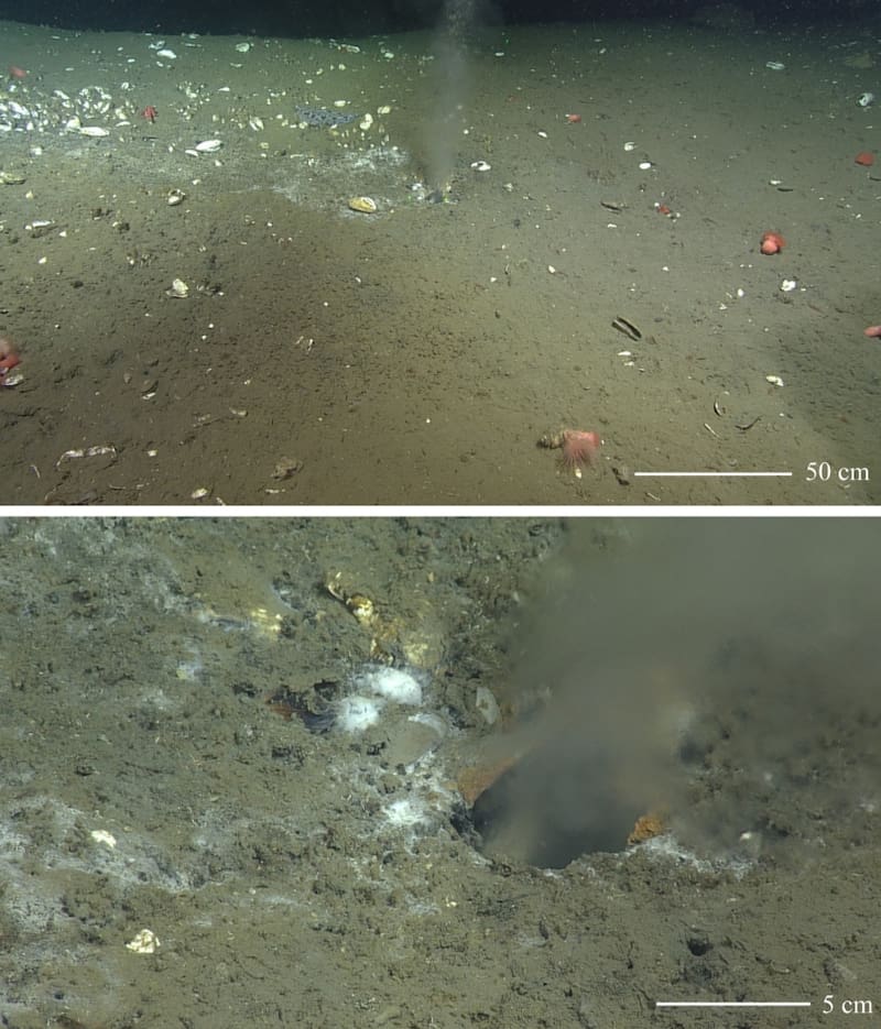 El hallazgo revela cómo la pérdida de fluidos entre placas tectónicas podría detonar uno de los terremotos más potentes en la historia del país. Fuente: Philip et al./Science Advances.