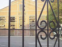 Dos empresas pidieron más tiempo para competir por el Ingenio La Esperanza