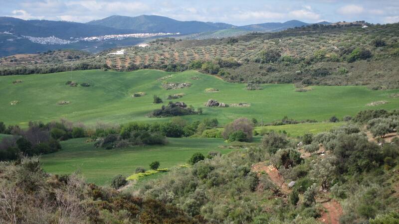 Escapadas: el lugar se encuentra en la localidad de Periana, en la comarca de la Axarquía de Málaga.