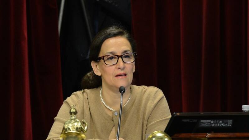 Vicepresidenta Gabriela Michetti