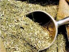 La yerba mate, nuevo frente de conflicto entre Gobierno y alimenticias