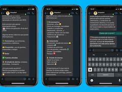 Cuarentena fase 4: te controlan más con una app y te mandan al SAME a la puerta