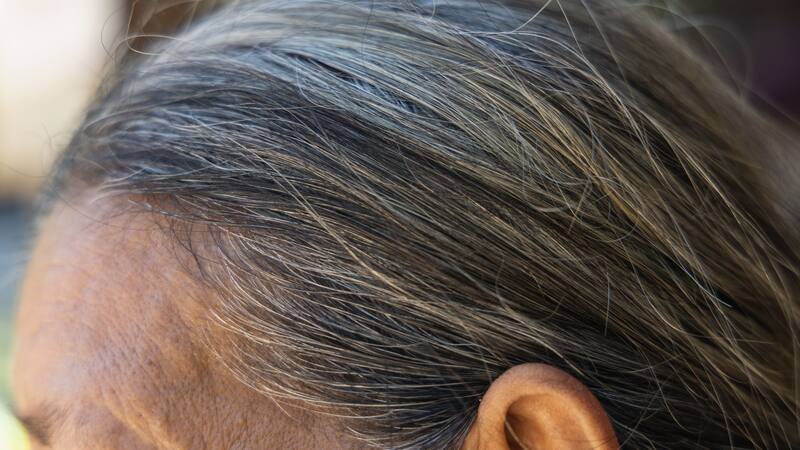 <div class="migrated-promo-image__description"><div class="migrated-promo-image__source">Fuente: Shutterstock</div></div>