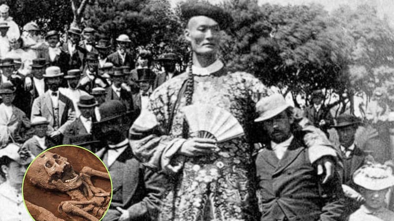 <div class="migrated-promo-image__description"><div class="migrated-promo-image__source">Fuente: Imagen ilustrativa</div></div>