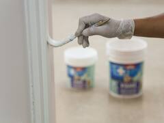 Paredes sin virus: una pintura argentina protege los hogares y ambientes concurridos