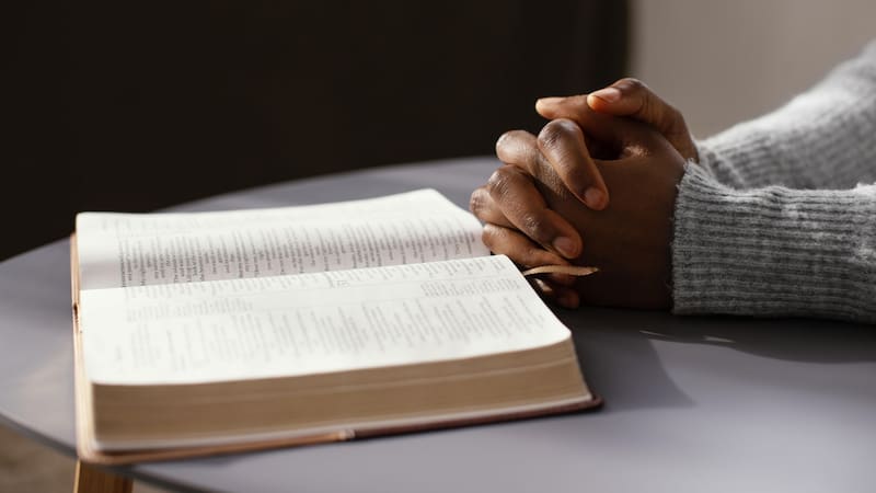 <div class="migrated-promo-image__description"><div class="migrated-promo-image__source">Fuente: Freepik</div></div>