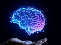 Cambia todo lo que sabemos sobre nuestros cerebros: la memoria ya no solo "vive" en el cerebro, según la neurociencia