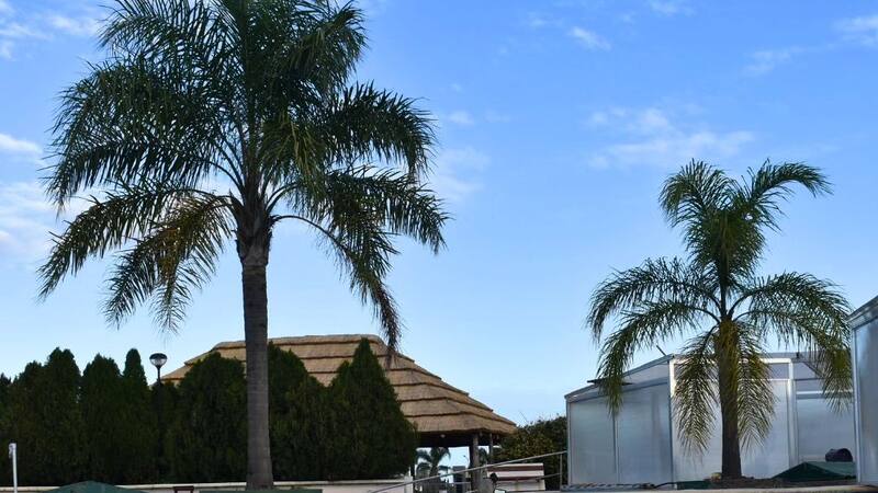 Estas termas son ideales para las familias.