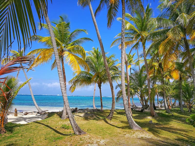 En 2025, Panamá reafirmó su posición como el mejor lugar para emigrar después de los 60 años, superando a otros destinos con su calidad de vida y beneficios exclusivos para adultos mayores. (Fuente: Garcia.dennis en Wikimedia Commons)