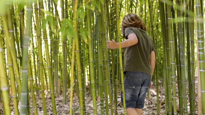 <div class="migrated-promo-image__description"><div class="migrated-promo-image__source">Fuente: Freepik</div></div>