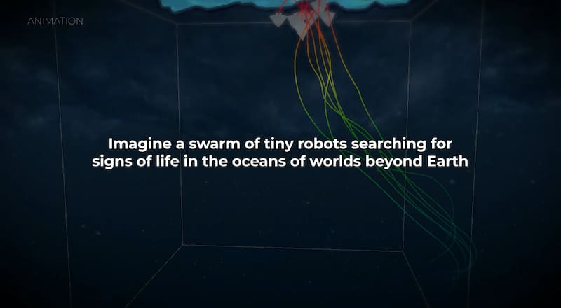 "Imagina un enjambre de pequeños robots que buscan señales de vida en los océanos de palabras más allá de la Tierra."