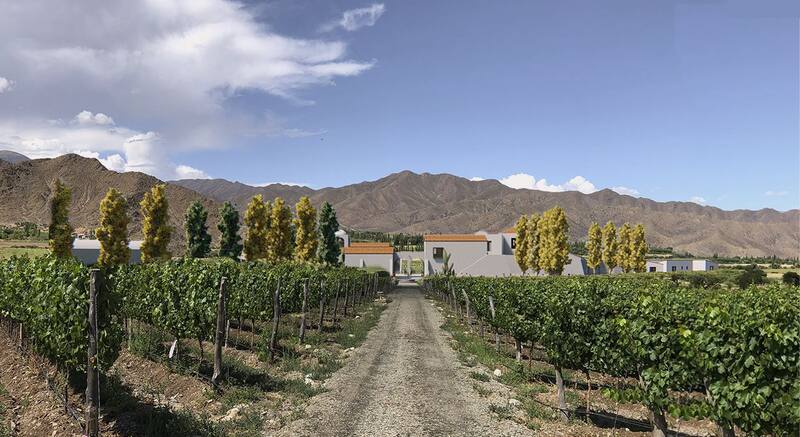 La bodega nació en 2017