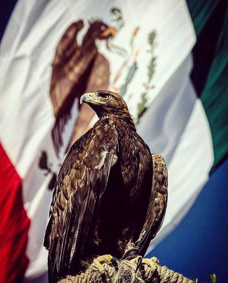 Masonería mexicana. Fuente: Ritonacionalmx.