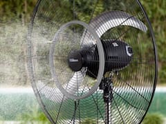 La increíble historia de Liliana: el origen de su nombre y cómo se volvió la "reina" de los ventiladores